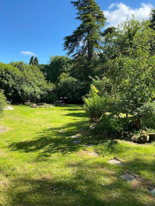 Colinsburgh Woodland Cottage Charleton Estate מראה חיצוני תמונה
